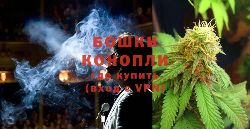 Канабис SATIVA & INDICA  где купить наркотик  Завитинск 